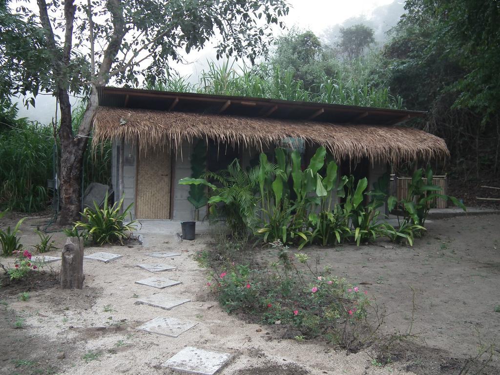 Pai Bamboo Hut 호텔 객실 사진