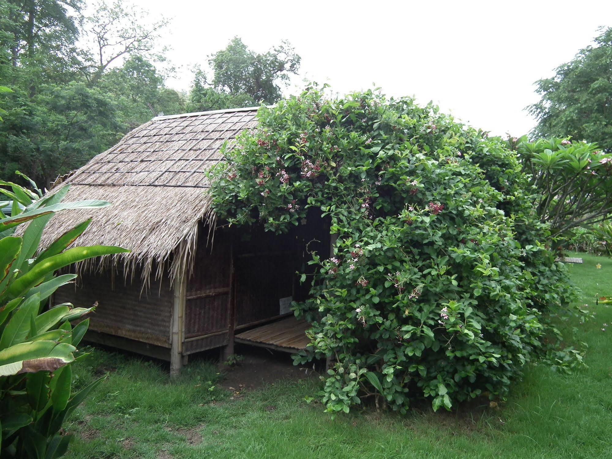 Pai Bamboo Hut 호텔 외부 사진
